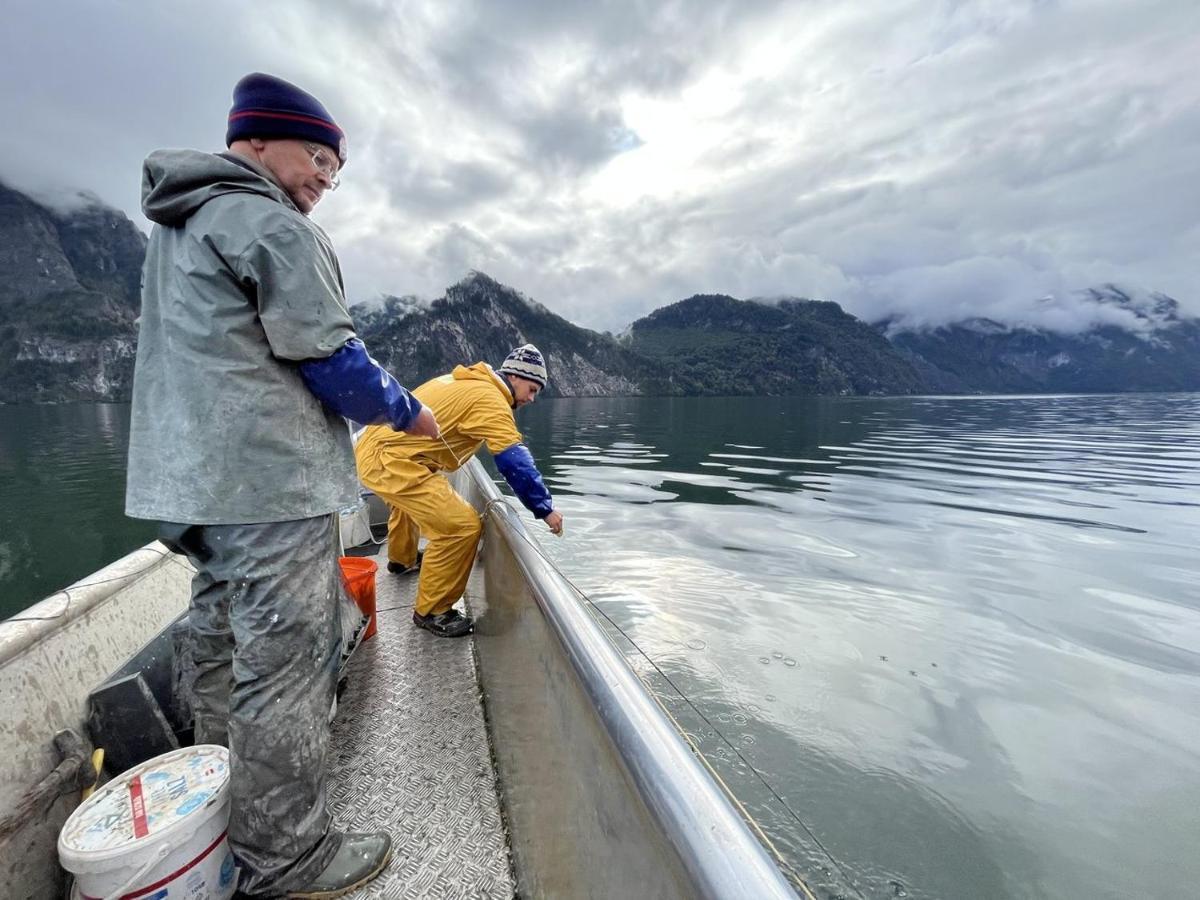 Das Traunsee Traunkirchen Exteriér fotografie